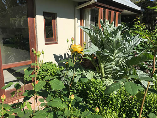 marlborough accommodation cottage