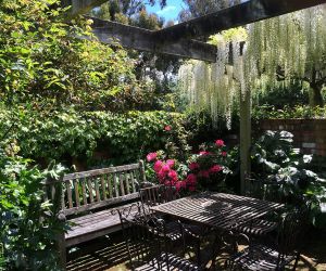 The garden which has plenty of outdoor furniture
