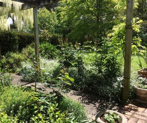 Mill Stream Cottage offers complete seclusion, privacy, comfort and peace