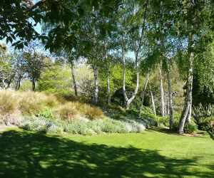 Walk in the garden and listen to the bird song